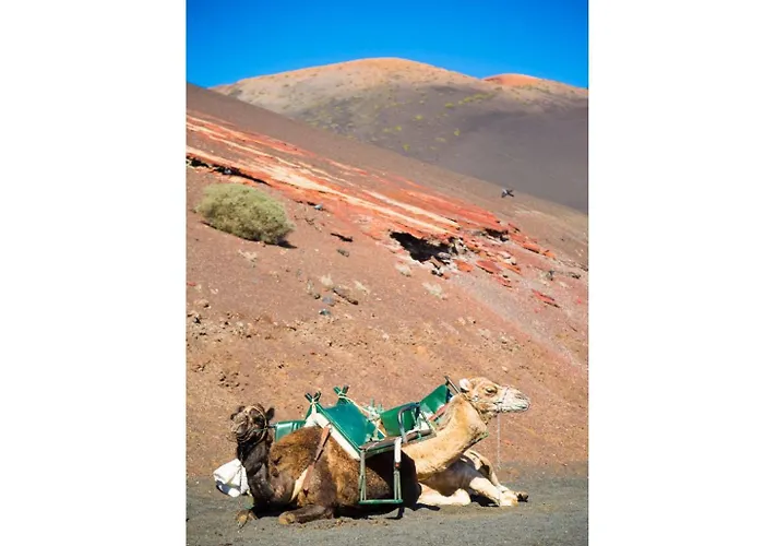 Villa Candela Puerto del Carmen (Lanzarote)