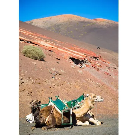 别墅 Candela 卡门港